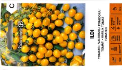 Tomato Ildi Yellow Seeds